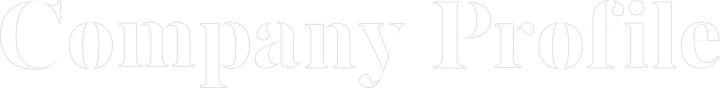 公司簡(jiǎn)介英文標(biāo)題